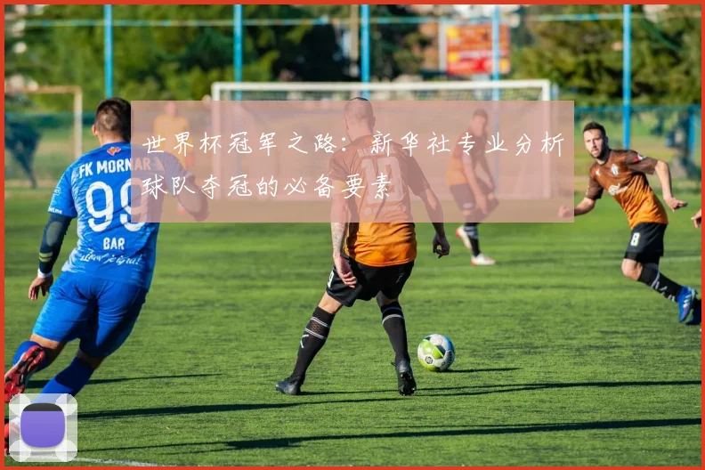 世界杯冠军之路：新华社专业分析球队夺冠的必备要素