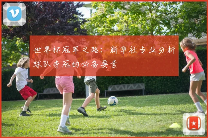 世界杯冠军之路：新华社专业分析球队夺冠的必备要素