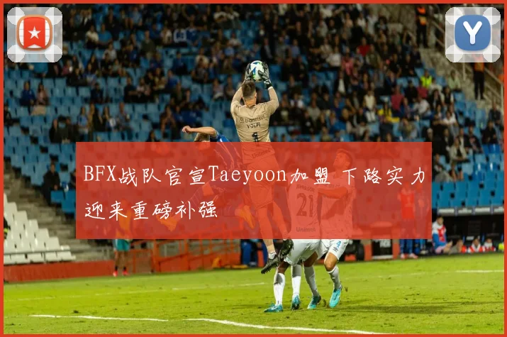 BFX战队官宣Taeyoon加盟 下路实力迎来重磅补强