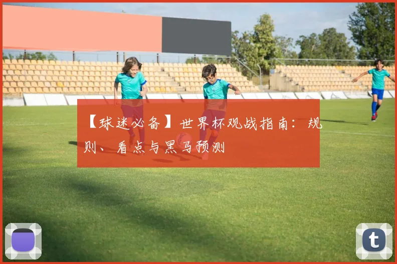 【球迷必备】世界杯观战指南：规则、看点与黑马预测
